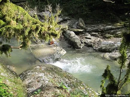 Adler în munții din Caucaz (octombrie 2011) (Adler, România)