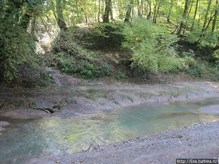 Adler în munții din Caucaz (octombrie 2011) (Adler, România)