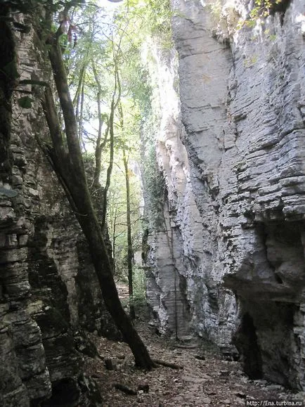 Adler în munții din Caucaz (octombrie 2011) (Adler, România)