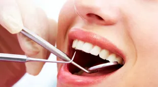 Gyermekgyógyászati ​​Dentistry a Viborg kerület St. Petersburg a földalatti oktatás