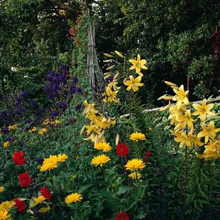 Градинарство, жълто-червено цвете