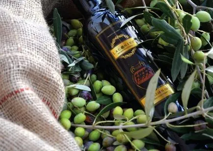 Görögország, olívaolaj - hogyan válasszuk ki, mit kell tudni - Görögország ma