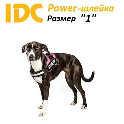 magazin Internet- de mărfuri pentru câini k9shleyka