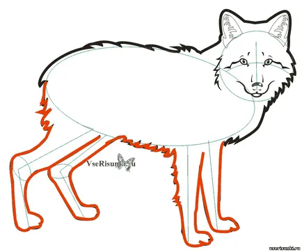 Как да се направи лисица молив етапи