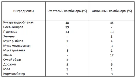 Как да се организира грижи за пилетата за птицевъдство е било полезно