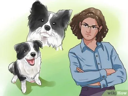 Hogyan elválaszt kutyája koldulni