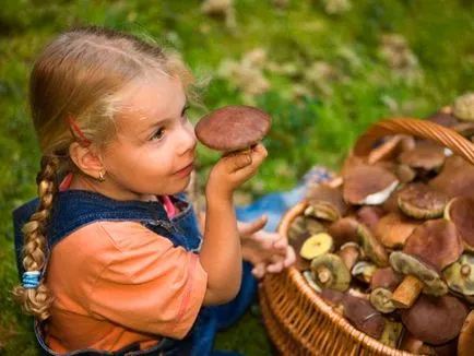 Hogyan válasszuk ki a gombát, azok előnyeit és mítoszok