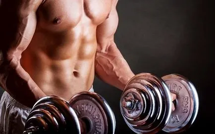Cum să crească musculare după fiziologie exercițiu