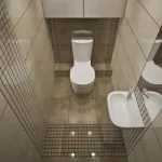 proiectare de toaletă de dimensiuni mici a fotografiei, nuanțe arhitecturale