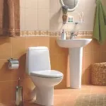 proiectare de toaletă de dimensiuni mici a fotografiei, nuanțe arhitecturale