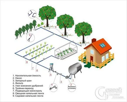 Hogyan, hogy a rendszer automatikus öntözés az országban - öntözőrendszerek építésével