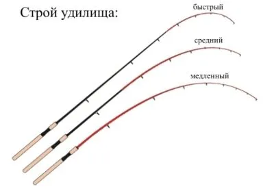 Как да изберем фидер въдица и макара за начинаещи