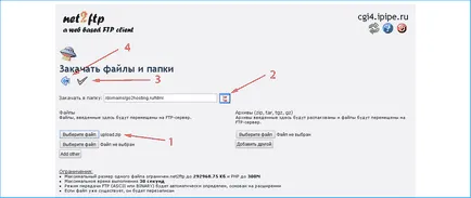 Как да изтеглите и разархивирате файла на хостинг сървър