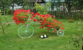 Un pat de flori de o bicicletă cu propriile sale mâini, instrucțiuni despre cum să picteze o bicicletă decât pentru a trata