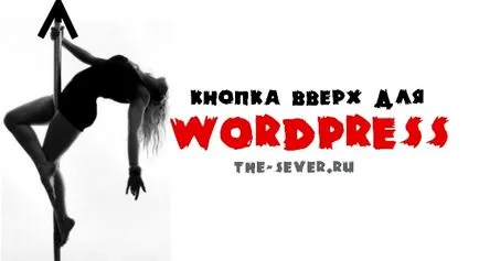 Up buton pentru WordPress cu și fără plugului, Sever