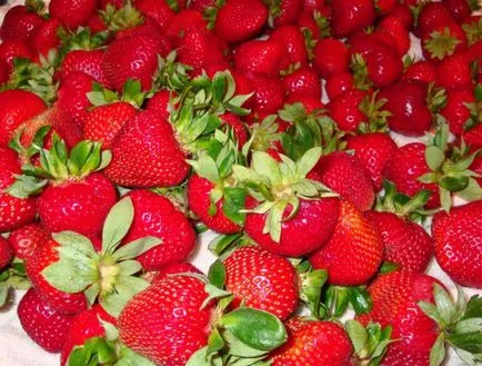 Strawberry описание корона на сорта, мнения