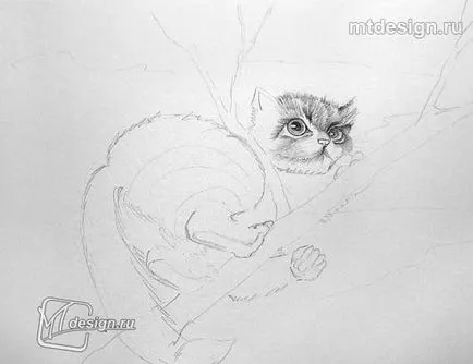 Kitten a fán ceruza