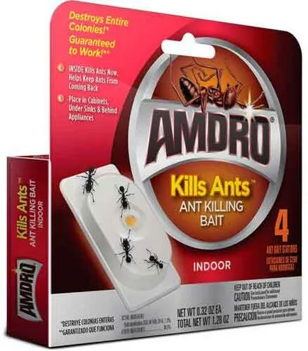 Ефективни средства за мравки в къща, апартамент и парцел