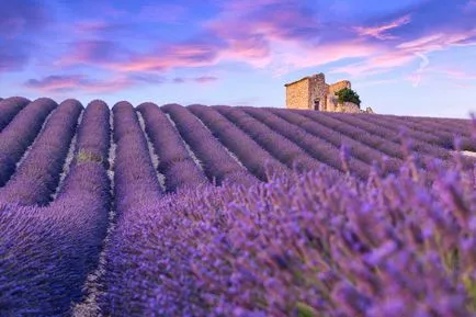 Provence levendula mezők látni, és hogyan juthatunk el oda - blog onetwotrip