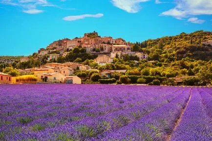 Provence levendula mezők látni, és hogyan juthatunk el oda - blog onetwotrip