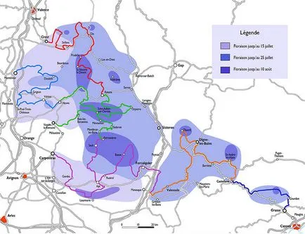 câmpuri de lavandă Provence pentru a vedea și cum să ajungi acolo - blog onetwotrip