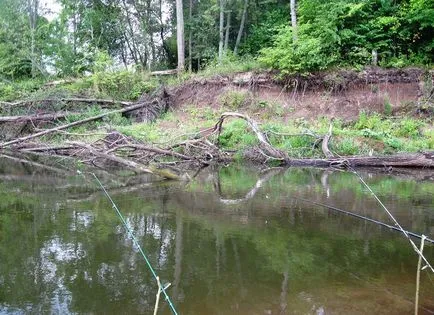 Feeder horgászat a folyó, amely az alkalmazandó bepattanó