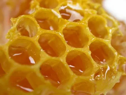 Мед zabrus полезни свойства, състав, използването на