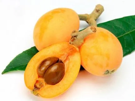 отглеждане Loquat и грижи в дома като снимка издънка на костите