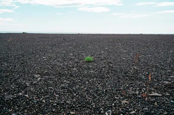 Hogy a föld (talaj) az ingatlan keresztül a szakértő