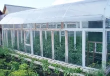 Greenhouse на материала под ръка с ръце снимка оранжерии, как да се направи домашно приготвени инструменти