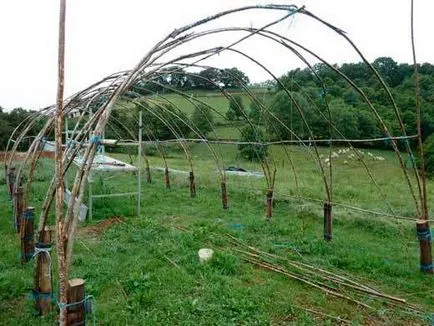 Cu efect de seră a materialului de la mână cu sere mâini foto, modul de a face instrumente de casă