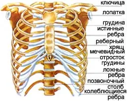 coaste rupte - cauze, simptome și tratament