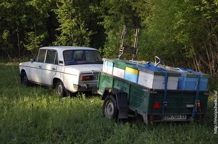 Превозване на пчели за леки ремаркета, блог Сергей Samoilov