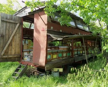 Pchelopritsepy преглед, производство, снимки