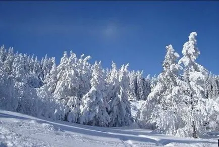 De ce soarele strălucește încălzindu