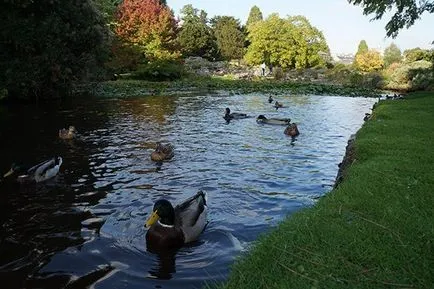 Călătoria de la Londra la Cambridge, a se vedea în Cambridge, știu în străinătate