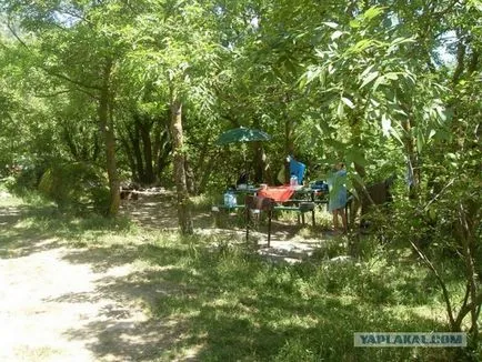 O excursie cu un câine pe mare, sălbaticii (Krasnodar)