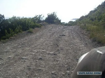 O excursie cu un câine pe mare, sălbaticii (Krasnodar)