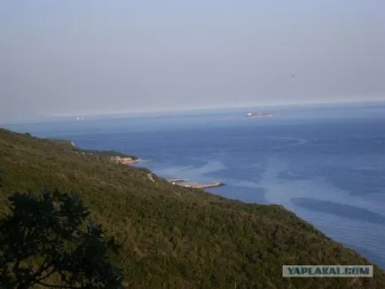 O excursie cu un câine pe mare, sălbaticii (Krasnodar)