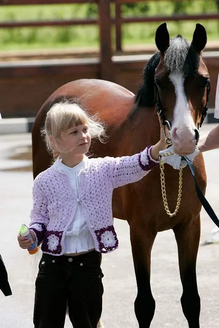 Pony-echitatie ponei școală pentru copii, școală călărie pentru copii, școală de echitație pentru copii,