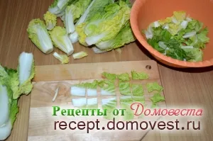 Egyszerű, gyors és egyszerű recept egy finom Kimchi - receptek domovesta