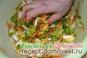 Egyszerű, gyors és egyszerű recept egy finom Kimchi - receptek domovesta