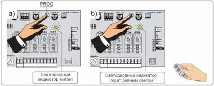 Programarea a venit