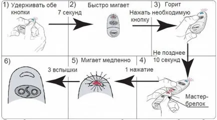 Програмиране дойде