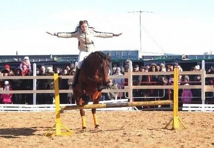 Téma megtekintése - ami természetes horsemanship