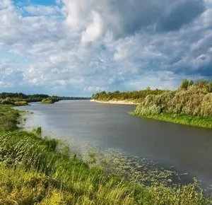 Flora, fauna și cele mai bune atracții ale Oka Reserve