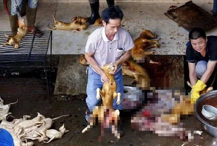 Festivalul de a mânca câini din Yulin (nu este recomandat vizualizarea impresionabil)