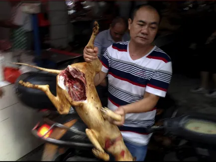 Festivalul de a mânca câini din Yulin (nu este recomandat vizualizarea impresionabil)