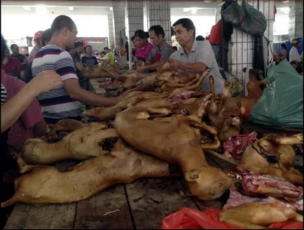 Festivalul de a mânca câini din Yulin (nu este recomandat vizualizarea impresionabil)