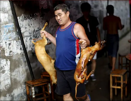 Festivalul de a mânca câini din Yulin (nu este recomandat vizualizarea impresionabil)